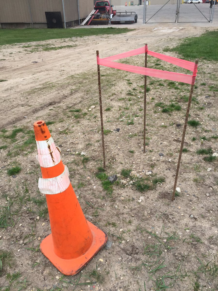 Lowellredarrows's tweet image. Protecting the eggs at Lowell softball field. #springproblems