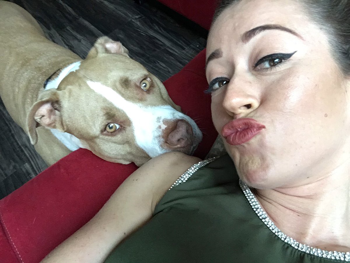 AleBecerraTV's tweet photo. Coco always picture ready! She's a diva #happypit #spoiled https://t.co/t10KxlcKpz