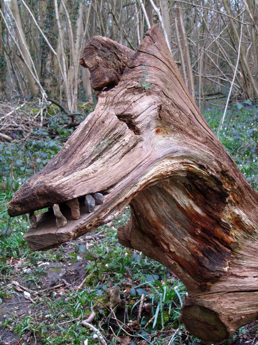Love that someone has added teeth to the #SelsdonWoods horse/sea serpent carved from a fallen tree. #Croydon