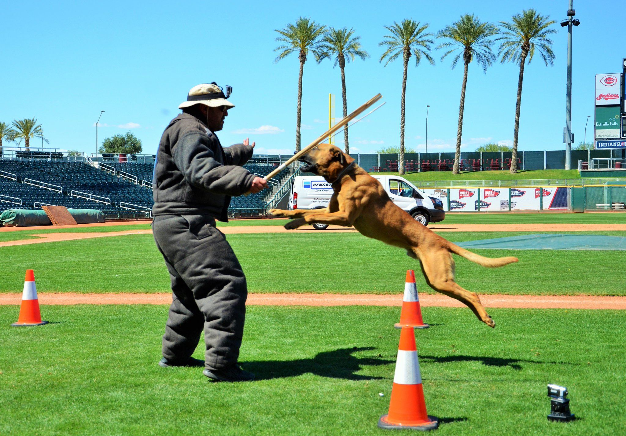 Pima County Sheriff on Twitter "PHOTOS Desert Dog K9 Trials, PCSD K9