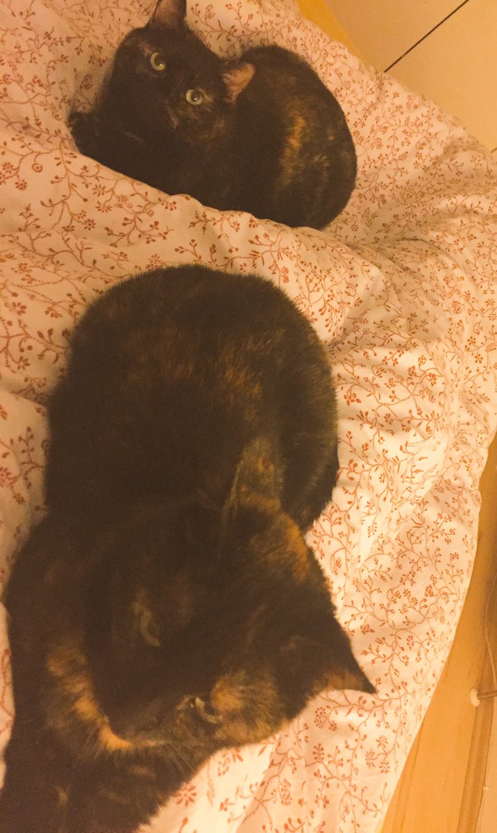 Man munkelt, wir werden vermisst. Hier ein Einblick. Alles gechillt. Uns geht's gut. Dem Mensch auch bald wieder...