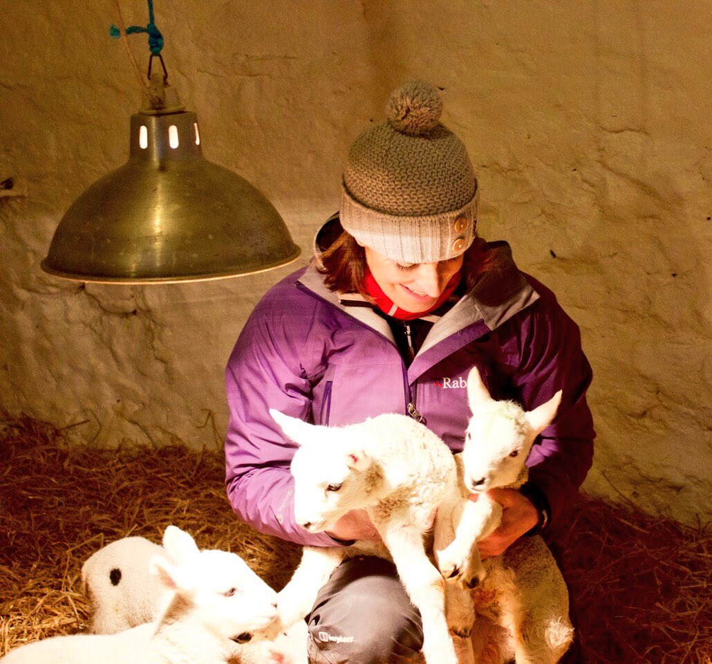 armadalefarm's tweet photo. @Smack_sjs   I had to check BBC Landward vehicle at the end of filming today. Pet lambs at risks of being stolen! https://t.co/kU1RctetNW