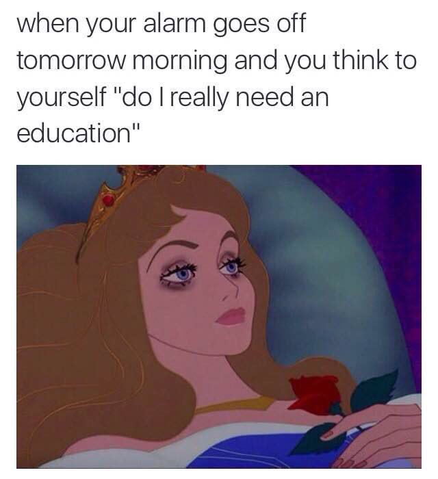 byreIatable's tweet image. Me