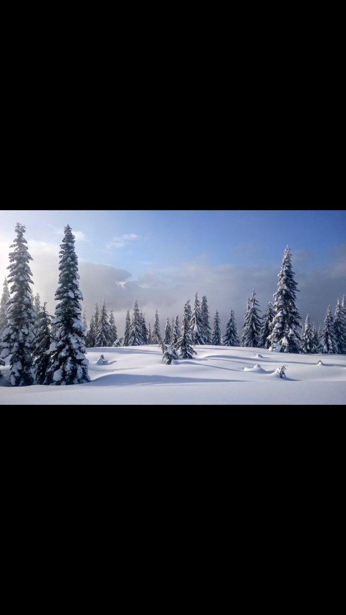 The great white north