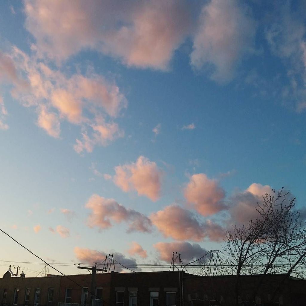 ShehaniKay's tweet image. #pink cottonballs. #cloudporn #sunset #montréaljetaime #montreal ift.tt/1S9Cj4p