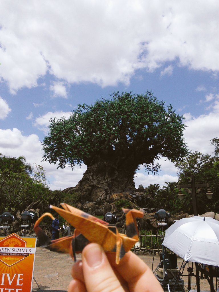 stephmcdirty's tweet photo. Day 3? 4? #origamiadventure https://t.co/1a1ppAKA24