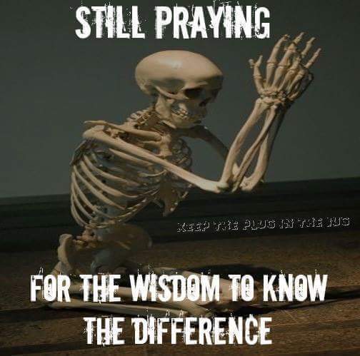 Kat449's tweet photo. Come on lets be honest.... https://t.co/PeZnrg7MXN
