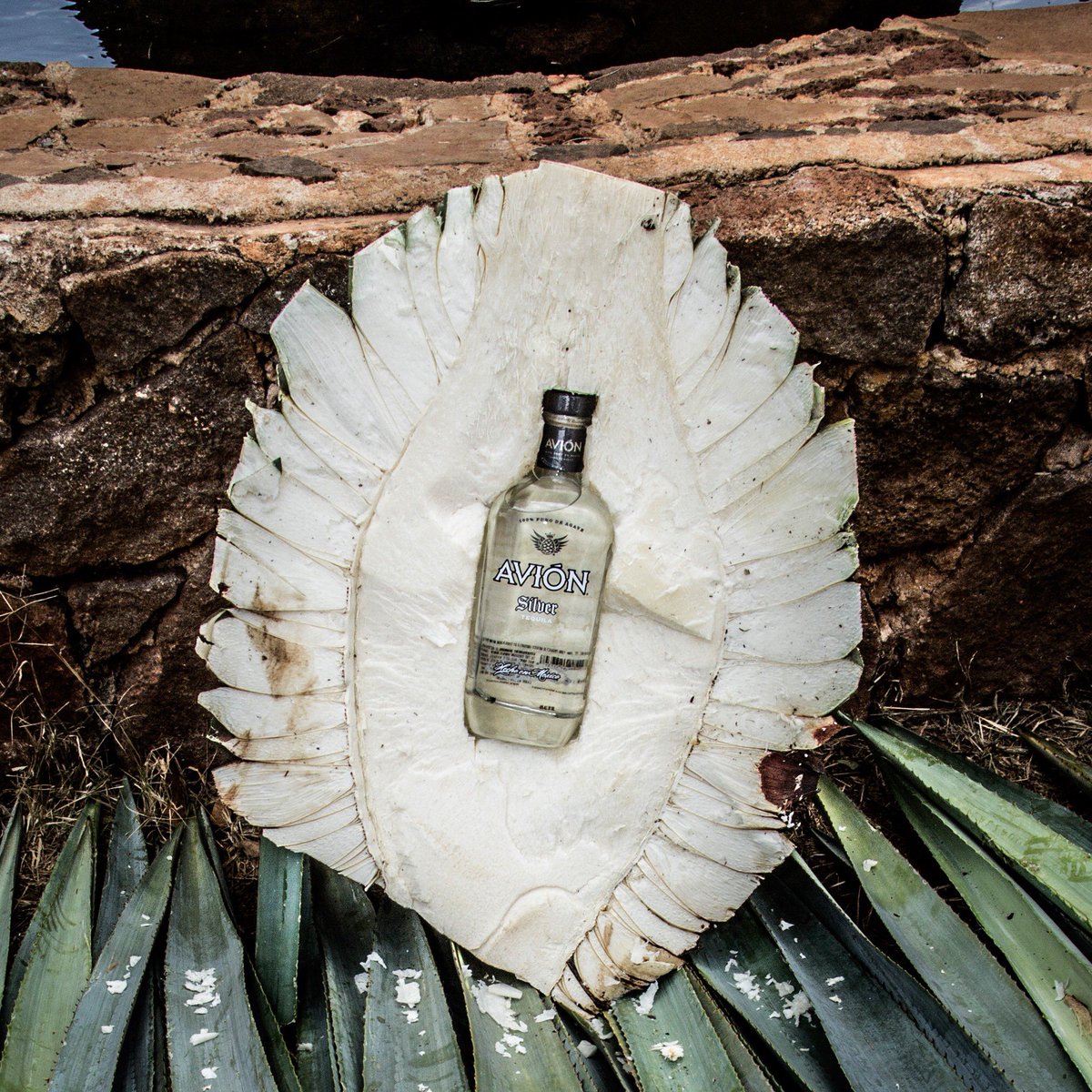 TequilaAvion's tweet photo. Straight from the heart. #AvionLife https://t.co/jgVKlUr341
