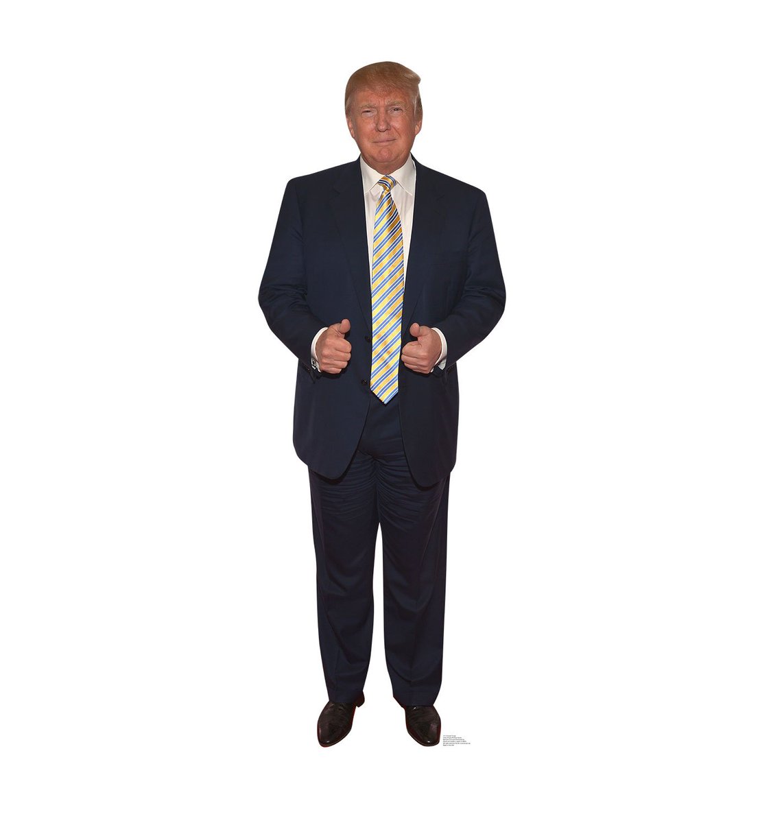 Skynear's tweet photo. Order your very own 6-foot Trump, Clinton, or Sanders statue right away! #elections2016 #politics #thisisDC https://t.co/ltLv0dWPBN