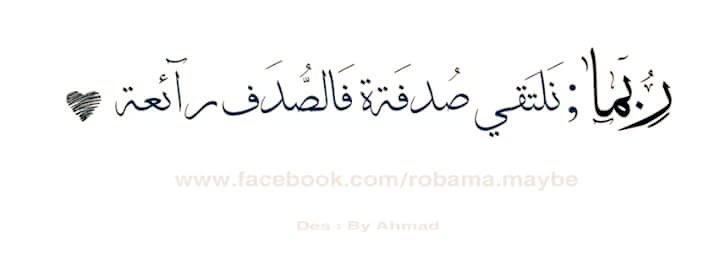 mahmoud salama tweet media