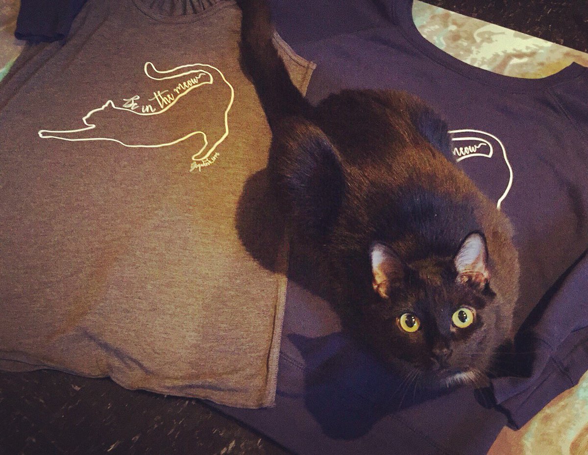 yogadork's tweet photo. We're in love! Our #beinthemeow shirts came. Lucy ❤️s them too - our #insPURRation 😻 https://t.co/WlQVpnZV5g https://t.co/S8IU4YzP1m