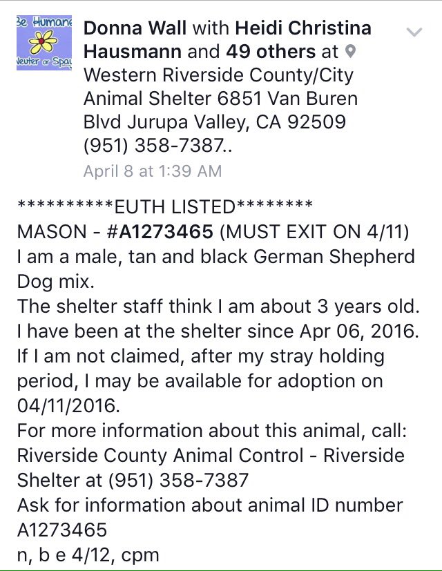 CODE RED🆘🆘PAST DUE😭PLZ #Rescue #Foster #Adopt facebook.com/photo.php?fbid… #CA <a href="/ruthmen/">JR</a> 
-@DogRescueTweets <a href="/Canine_Rights/">Michael</a>