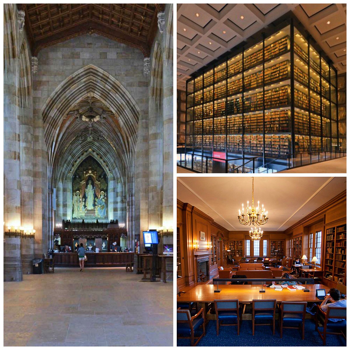 YaleUGA's tweet photo. #YaleLibraries https://t.co/sjIiOG6tOk