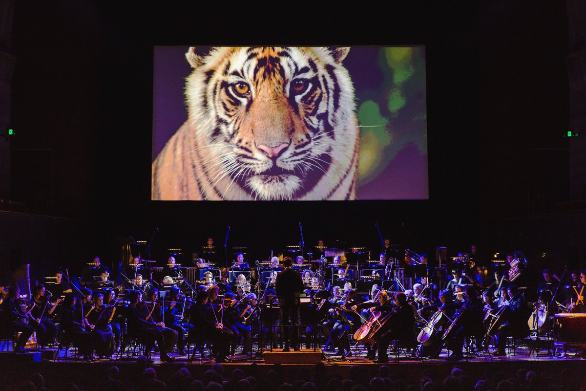 bbcpromsau's tweet photo. The QSO wowed audiences with a visual journey through Sir David Attenborough's Life Story in Concert at #bbcpromsau. https://t.co/H7SiumKkPN