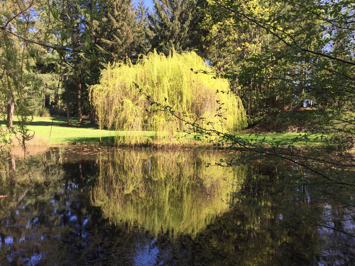 rubetues's tweet photo. Beautiful day at Longlands golf course #Comox https://t.co/dDyDbZHszd