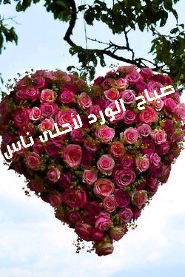 مغلق نهائيا (@077227527s) on Twitter photo 