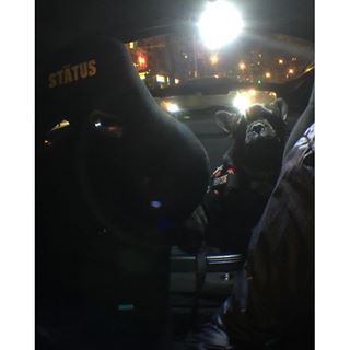 Frenchie_Cute's tweet photo. Father and son @hondathefrenchie #vrwcrx #vrwcm #vraceworks #frenchie #frenchbulldog https://t.co/V40Rb21JwT https://t.co/EsUakoWKFb