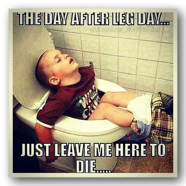SweetSupplement's tweet photo. #legday #fitness #fitfam #lifting #gains #bodybuilding #gym #weights https://t.co/z9x2xblVO0