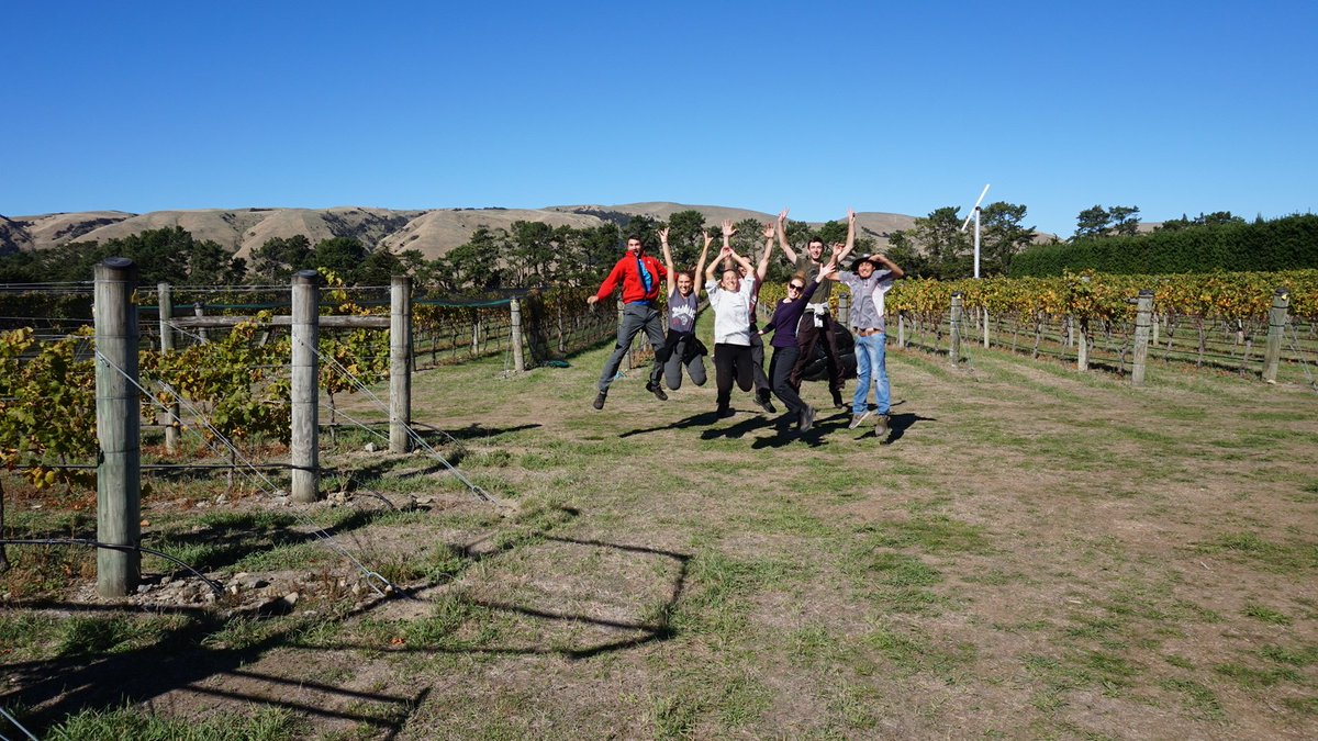 Julicherwines's tweet photo. Hurray! we've FINISHED HARVEST! Time to celebrate! https://t.co/esnoSqgPla