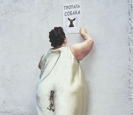 Сашко (@nealsashko) on Twitter photo 