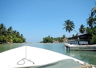 Azooki_Travel's tweet photo. Experience #Madu #Ganga #River #Safari, the most amazing #mangrove in #Sri #Lanka. #Azooki https://t.co/yJSVnE8EkS https://t.co/2hW1I4lNnE