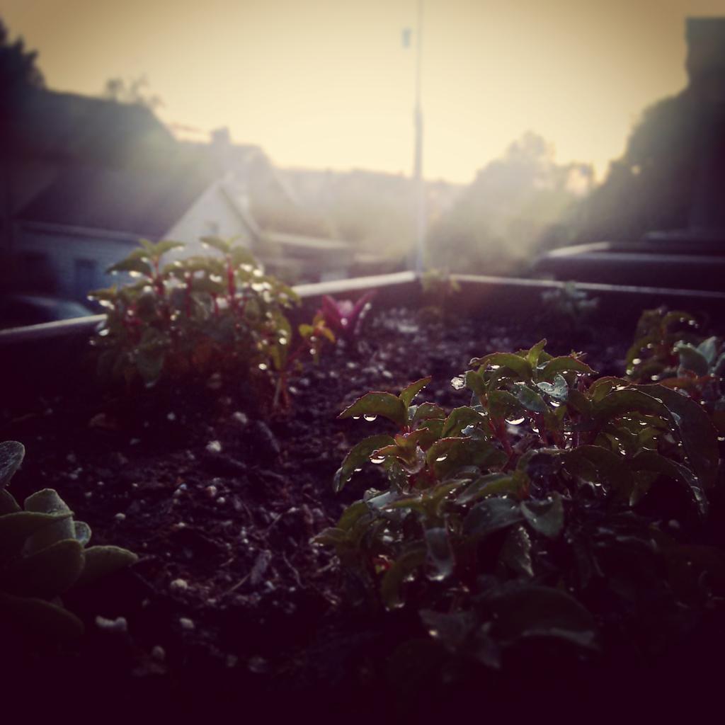 OfBug's tweet image. It's the second most wonderful time of the year #springtime #feedthebees