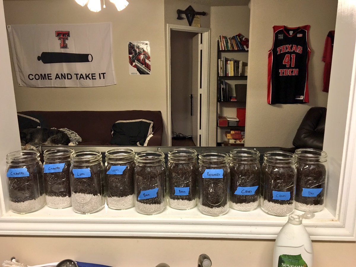 jerameytweets's tweet image. Indoor gardening: Day 1. #StartedFromThe(Dirt)Bottom