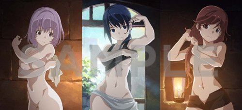 Tvアニメ 灰と幻想のグリムガル 全巻購入特典画像 続いて とらのあなさま特典 描き下ろし全巻収納box お風呂上りのユメ シホル メリイが描かれています グリムガル