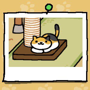 JonMichaelBray's tweet photo. #ねこあつめ https://t.co/GUcpKFMv0H