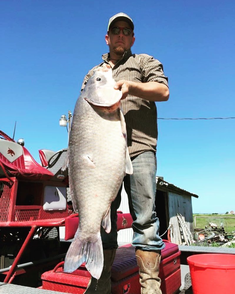 Bowfish247365's tweet photo. Fan Photo Submission by: cutnlooseoutfitters > #cutnloose #amsbowfishing #whackandstack #bigbuff #recordbuff #laket… https://t.co/GnASr9G50E