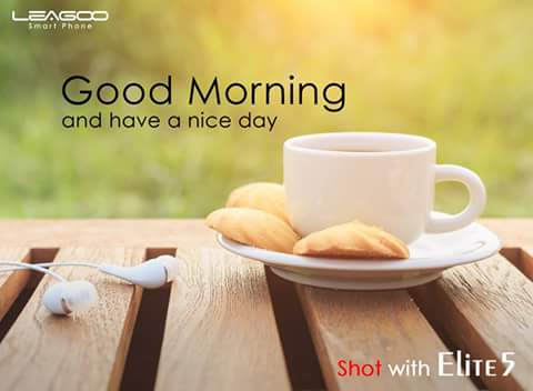 Leagooea's tweet photo. Good Morning..Have a wonderful day. #Leagoo #leadinggoing. #justforexcellentsmartlife https://t.co/TCOyms1eLN