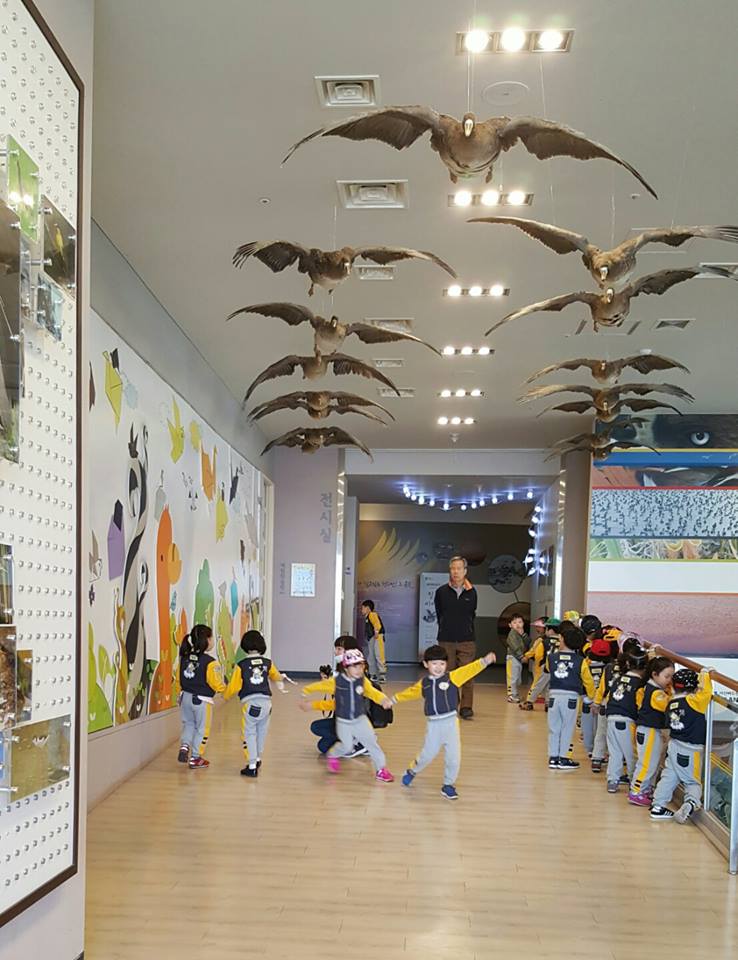 아져띠 요기 짱 재미떠요
 깜찍발랄 아이들의 #버드랜드_탐험
#생태체험 #4D영상 #놀이교실