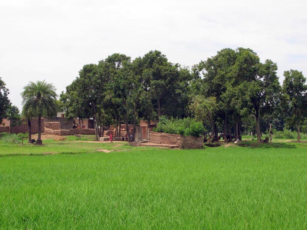 merijan385's tweet photo. Mera pyara village https://t.co/GhrjoSjy56