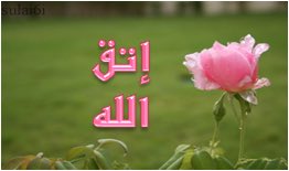 الفراشه رغم جمالها حشرة
والصباررغم قسوته زهرة
فلا تحكم على الناس
من أسمائهم وأشكالهم
بل احكم عليهم بما تحتويه قلوبهم