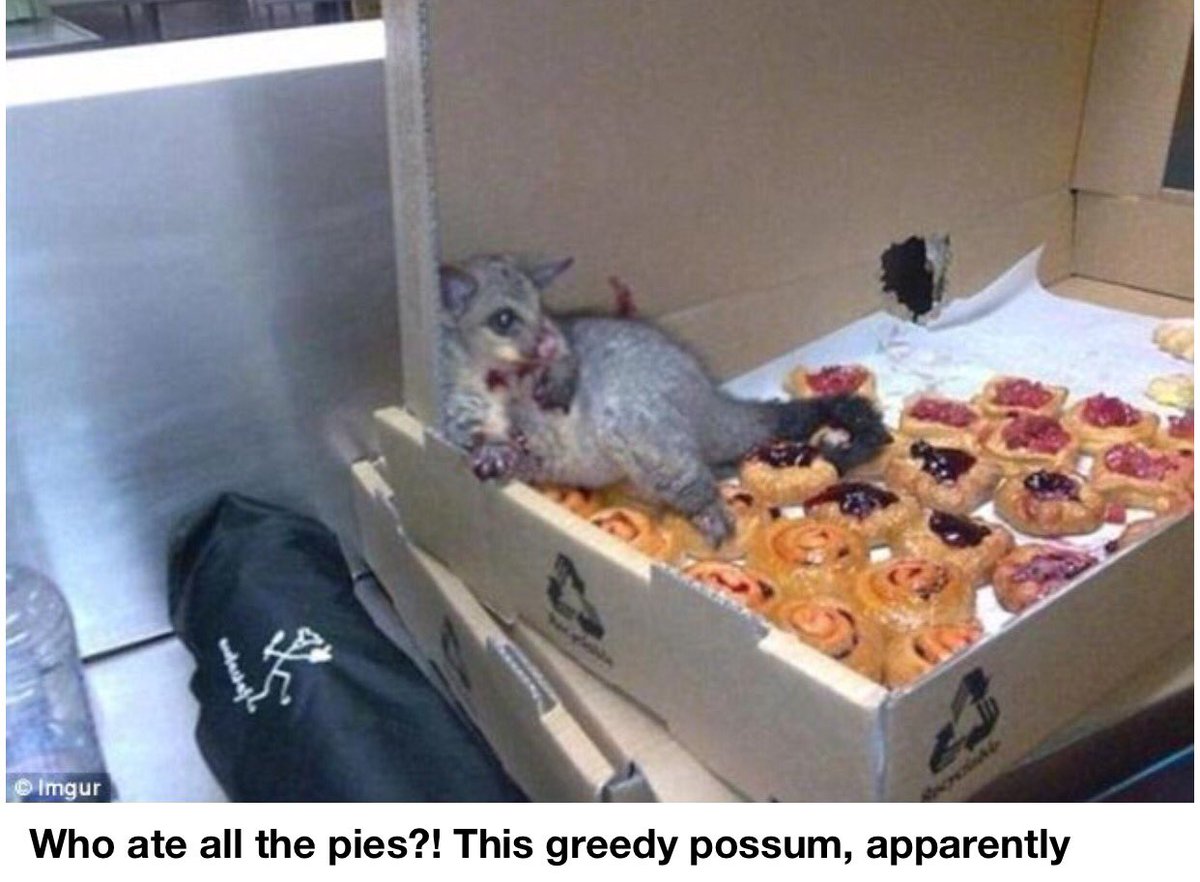 JessExMachina's tweet photo. #joblust: captioning for the Daily Mail https://t.co/VsoGRbotY3