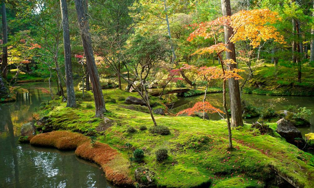 Tripeffectravel's tweet photo. 10 of the best gardens … that you’ve probably never heard of - https://t.co/OmgXwS12J9 https://t.co/uviB4l6M1O