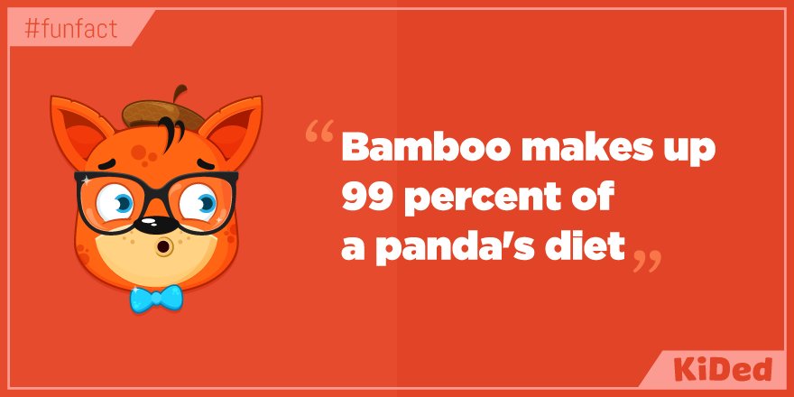 KidED_'s tweet photo. Did You Know? "Bamboo makes up 99 percent of a panda´s diet" #funfact https://t.co/B8doaZtgoU