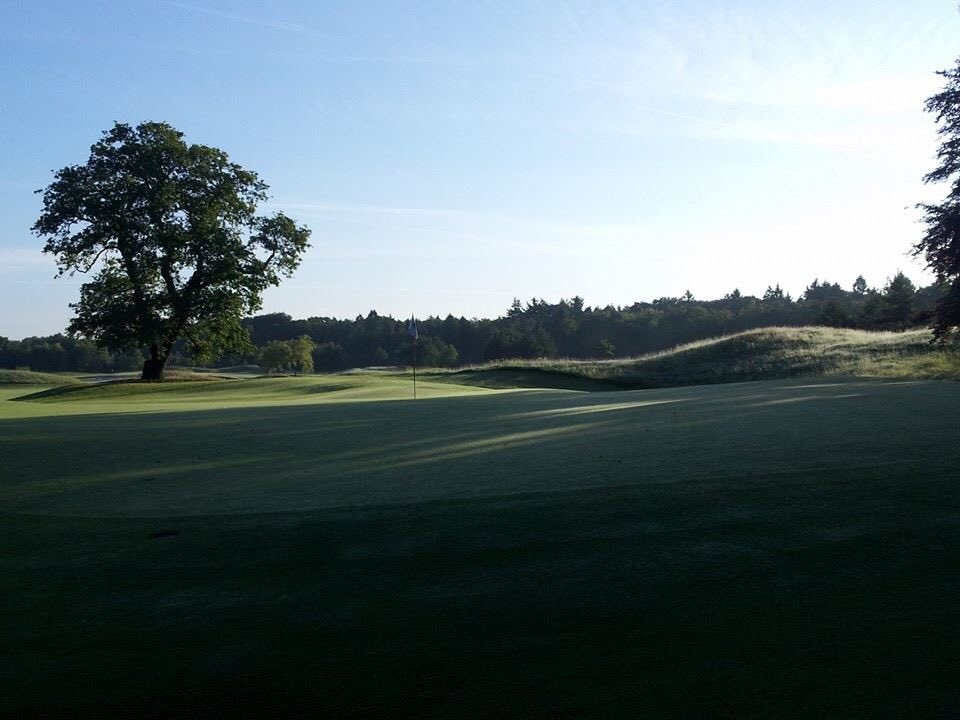 Geachte DLV-leden, goedemorgen!!! #lente