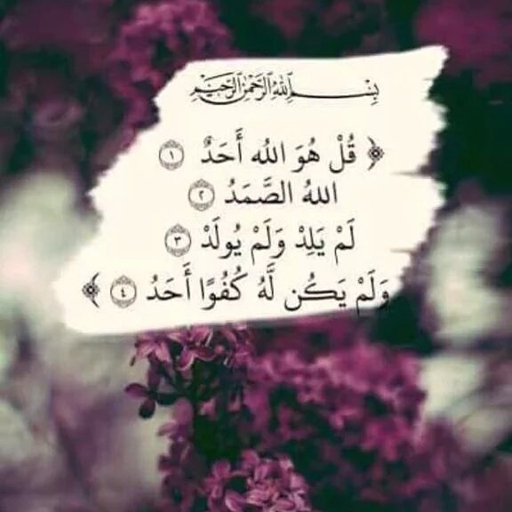 please_allah's tweet photo. #صَدًقَهّ_جَأِرَيَهّ_لَأِخَتّي
رَحَمَهّأِِ لَلَهّ هّي وٌجَمَيَع مَوٌتّانَاوٌأِسَكَنَهّمَ أِلَفَرَدًوٌٌسَ أِلَأِعَلَي https://t.co/ZhbMA5ou8b