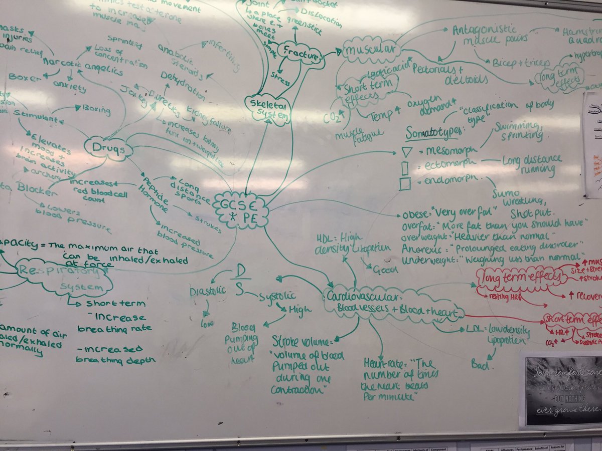 WarrinerGCSEPE's tweet photo. Moderation day revision! Great focus!! https://t.co/mUlJrcguV2