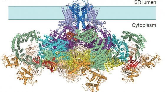 eventimilano_it's tweet photo. Milano, un super microscopio per combattere Zika: la scommessa dell'università Statale https://t.co/dEjN2l1AnX #Mi… https://t.co/raqAUnA9Kx