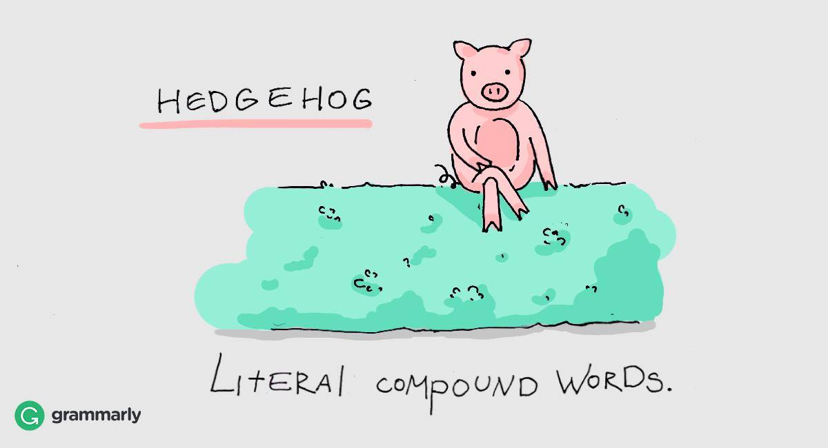 WriteGuideNYC's tweet image. #CompoundWords #Grammarly