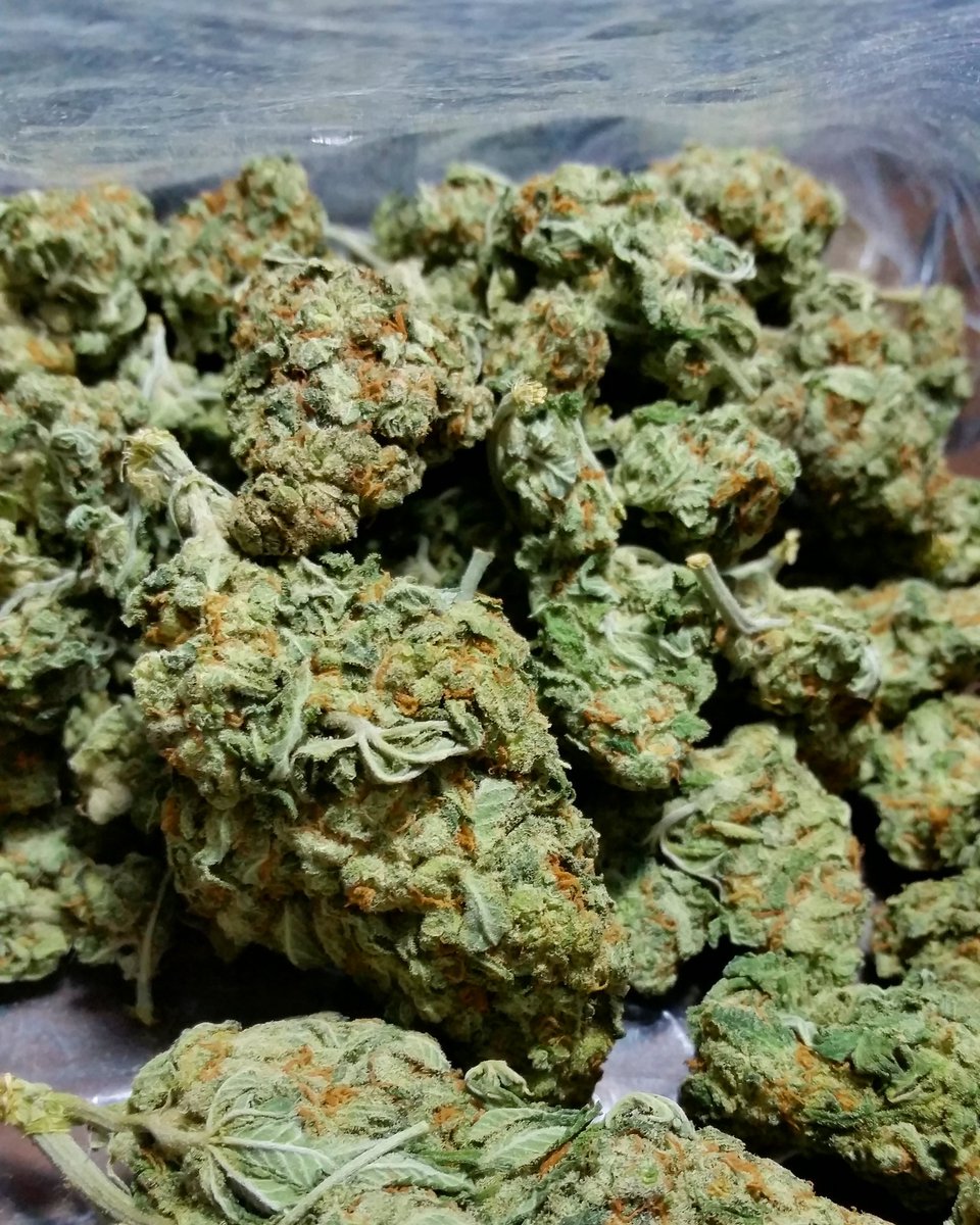 stonerd1va's tweet photo. #weedporn #420girls #stonedsociety #gethigh #smokeinstyle #bongbeauties #prettypotheads #cannabiscommunity #happy420 https://t.co/v5N9h53cpt