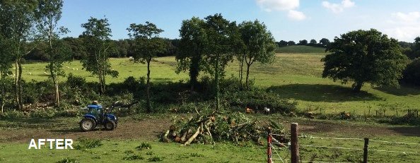 Call us if you'd like a quote on tree or hedge work #Dorchester #Poole #Wareham Bournemouth ow.ly/4mQWyw