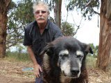 tribesofsydney's tweet photo. Goodbye Maggie, the Australian kelpie who may just be the world's oldest dog - via @abcnews https://t.co/DfV2vKddNK https://t.co/XKPg67jLbU