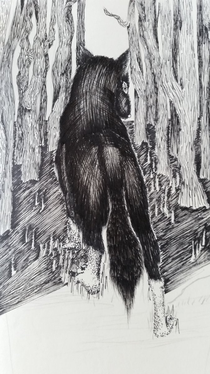 TheCreepyTrees's tweet image. My fine art poject based on the forest is coming along nicely #fineart #linedrawing #penandink #IntotheForest #wolf