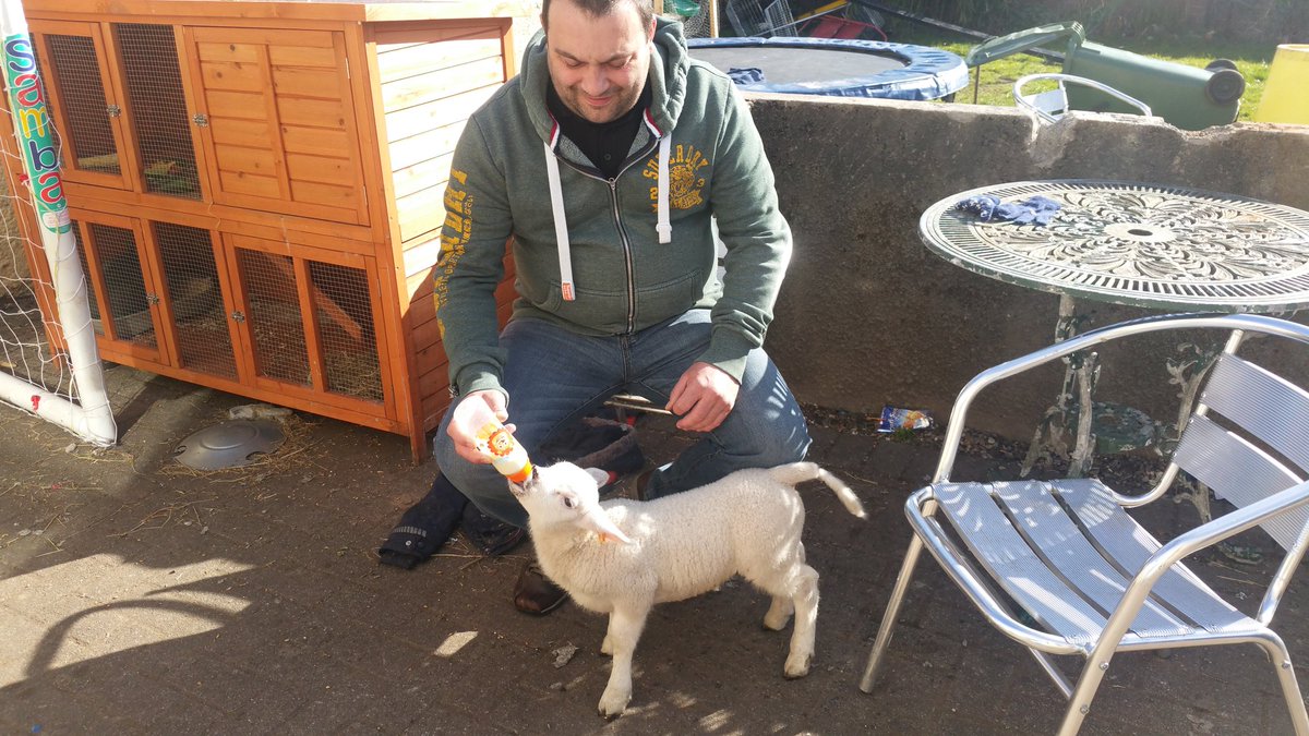 Spiro on his 2nd bottle . He's a little rambo.