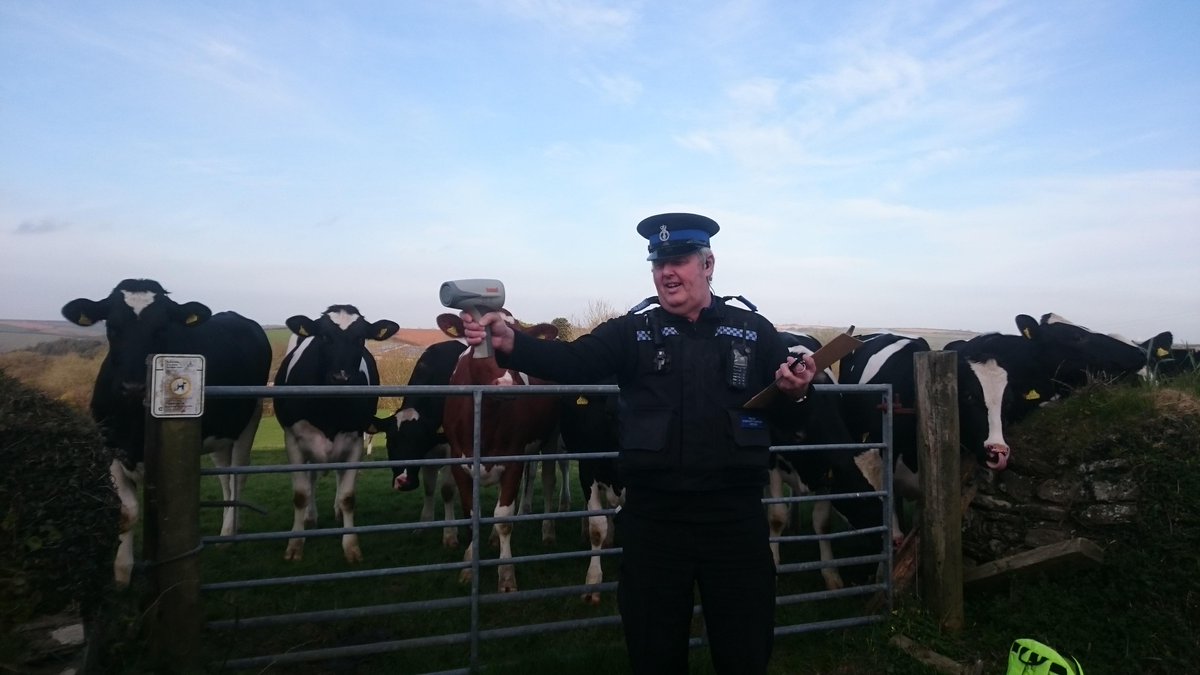 morning speed watch, Remember to slow down, there are many dangers on rural roads including live stock and children