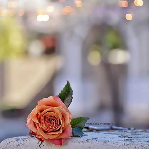 tooq7761's tweet photo. @ahmad07722122 @noorali271 @as03863a @a__________mll @abcd43214 @mohammed9122ee1 تسلملي https://t.co/fKOeIwa6x1