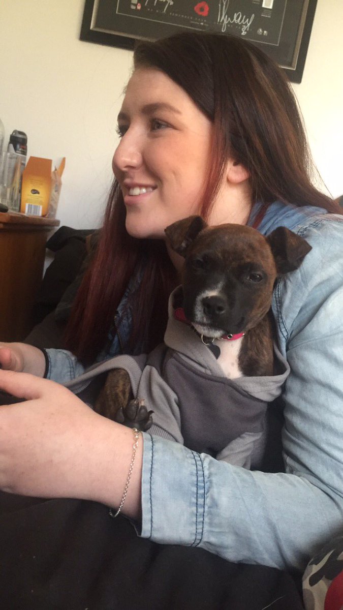 weynejackson5's tweet photo. Off to puppy school with miley and the misses #staffy @TheMaxiMon https://t.co/wtERe8HWEt